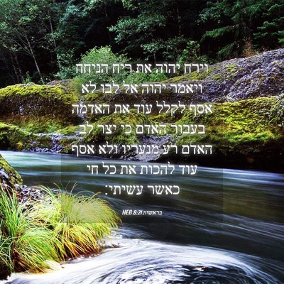 Picture 04 - בראשית 8:21 HEB - וירח יהוה את ריח הניחח - Bible Verse Picture