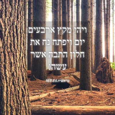 Picture 04 - בראשית 8:6 HEB - ויהי מקץ ארבעים יום ויפתח - Bible Verse Picture