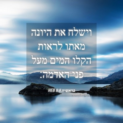 Picture 04 - בראשית 8:8 HEB - וישלח את היונה מאתו לראות - Bible Verse Picture