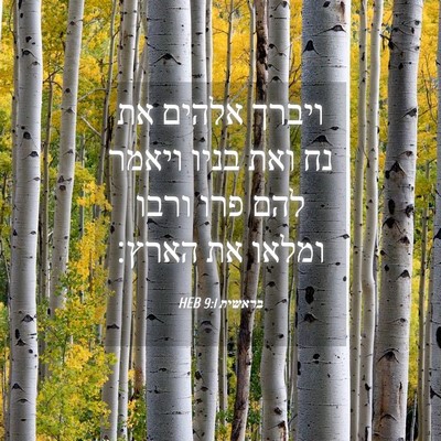 Picture 04 - בראשית 9:1 HEB - ויברך אלהים את נח ואת בניו - Bible Verse Picture
