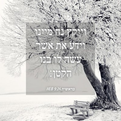 Picture 04 - בראשית 9:24 HEB - וייקץ נח מיינו וידע את אשר - Bible Verse Picture