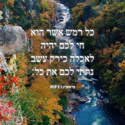Picture 04 - בראשית 9:3 HEB - כל רמש אשר הוא חי לכם יהיה - Bible Verse Picture