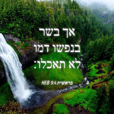 Picture 04 - בראשית 9:4 HEB - אך בשר בנפשו דמו לא - Bible Verse Picture