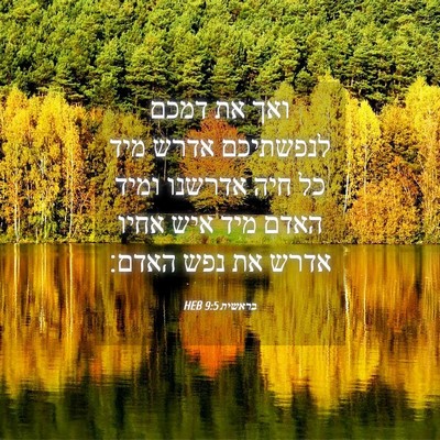 Picture 04 - בראשית 9:5 HEB - ואך את דמכם לנפשתיכם אדרש - Bible Verse Picture