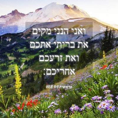 Picture 04 - בראשית 9:9 HEB - ואני הנני מקים את בריתי - Bible Verse Picture