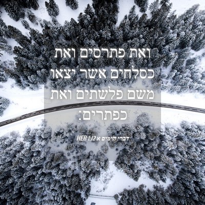 Picture 04 - דברי הימים א 1:12 HEB - ואת פתרסים ואת כסלחים אשר - Bible Verse Picture