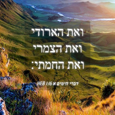 Picture 04 - דברי הימים א 1:16 HEB - ואת הארודי ואת הצמרי ואת - Bible Verse Picture
