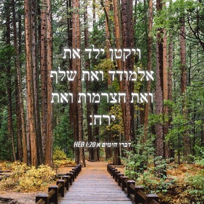Picture 04 - דברי הימים א 1:20 HEB - ויקטן ילד את אלמודד ואת שלף - Bible Verse Picture
