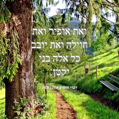 Picture 04 - דברי הימים א 1:23 HEB - ואת אופיר ואת חוילה ואת - Bible Verse Picture