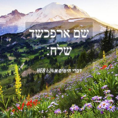 Picture 04 - דברי הימים א 1:24 HEB - שם ארפכשד - Bible Verse Picture