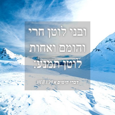 Picture 04 - דברי הימים א 1:39 HEB - ובני לוטן חרי והומם ואחות - Bible Verse Picture
