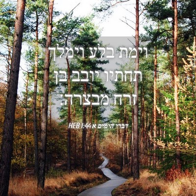Picture 04 - דברי הימים א 1:44 HEB - וימת בלע וימלך תחתיו יובב - Bible Verse Picture