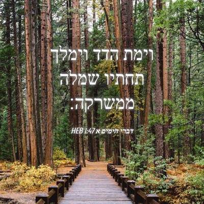 Picture 04 - דברי הימים א 1:47 HEB - וימת הדד וימלך תחתיו שמלה - Bible Verse Picture