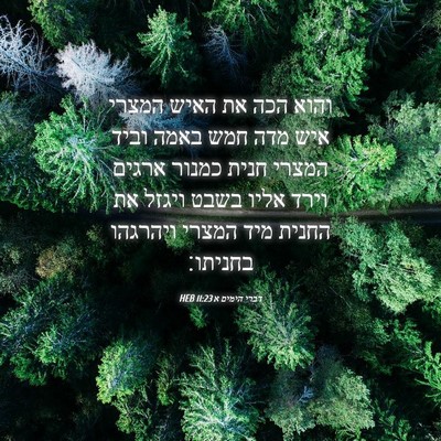 Picture 04 - דברי הימים א 11:23 HEB - והוא הכה את האיש המצרי איש - Bible Verse Picture