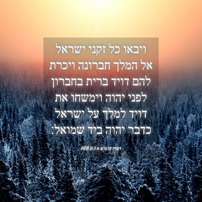 Picture 04 - דברי הימים א 11:3 HEB - ויבאו כל זקני ישראל אל המלך - Bible Verse Picture