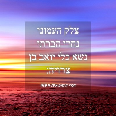 Picture 04 - דברי הימים א 11:39 HEB - צלק העמוני נחרי הברתי נשא - Bible Verse Picture
