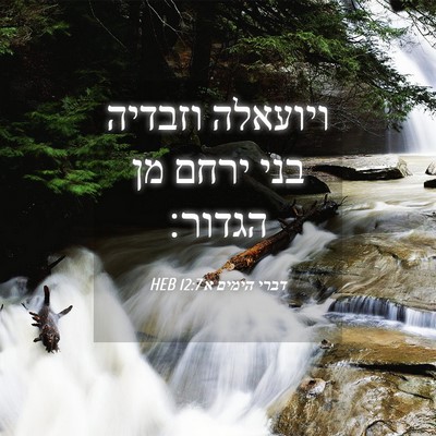 Picture 04 - דברי הימים א 12:7 HEB - ויועאלה וזבדיה בני ירחם מן - Bible Verse Picture