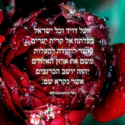 Picture 04 - דברי הימים א 13:6 HEB - ויעל דויד וכל ישראל בעלתה - Bible Verse Picture