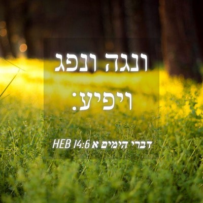 Picture 04 - דברי הימים א 14:6 HEB - ונגה ונפג - Bible Verse Picture