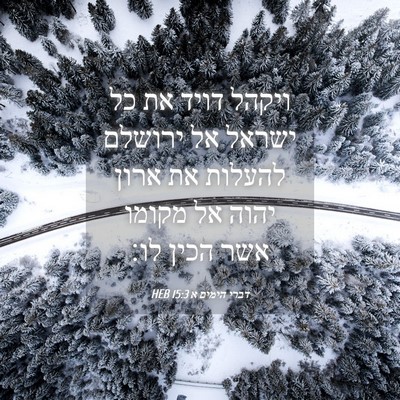 Picture 04 - דברי הימים א 15:3 HEB - ויקהל דויד את כל ישראל אל - Bible Verse Picture