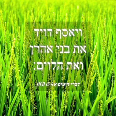 Picture 04 - דברי הימים א 15:4 HEB - ויאסף דויד את בני אהרן ואת - Bible Verse Picture