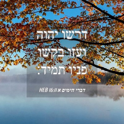 Picture 04 - דברי הימים א 16:11 HEB - דרשו יהוה ועזו בקשו פניו - Bible Verse Picture