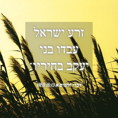 Picture 04 - דברי הימים א 16:13 HEB - זרע ישראל עבדו בני יעקב - Bible Verse Picture