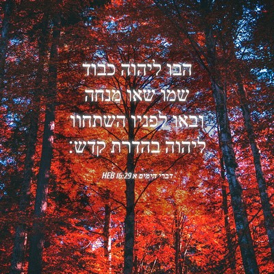 Picture 04 - דברי הימים א 16:29 HEB - הבו ליהוה כבוד שמו שאו מנחה - Bible Verse Picture
