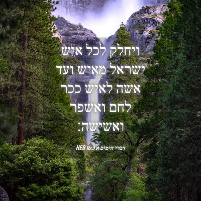 Picture 04 - דברי הימים א 16:3 HEB - ויחלק לכל איש ישראל מאיש - Bible Verse Picture