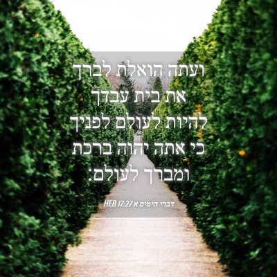 Picture 04 - דברי הימים א 17:27 HEB - ועתה הואלת לברך את בית עבדך - Bible Verse Picture