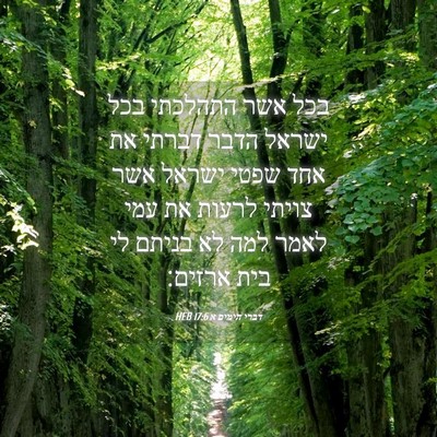 Picture 04 - דברי הימים א 17:6 HEB - בכל אשר התהלכתי בכל ישראל - Bible Verse Picture