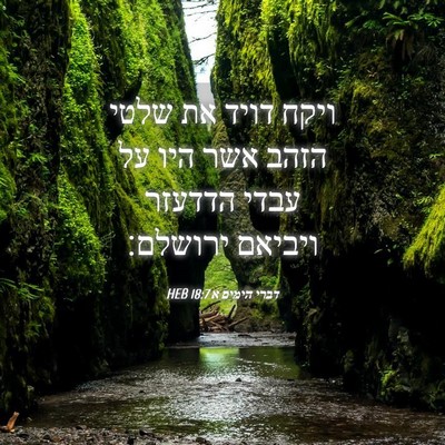 Picture 04 - דברי הימים א 18:7 HEB - ויקח דויד את שלטי הזהב אשר - Bible Verse Picture