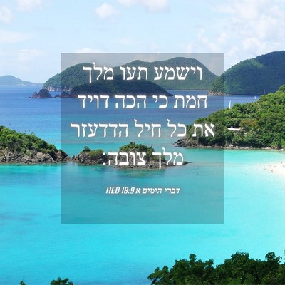 Picture 04 - דברי הימים א 18:9 HEB - וישמע תעו מלך חמת כי הכה - Bible Verse Picture