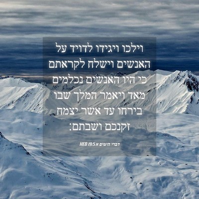 Picture 04 - דברי הימים א 19:5 HEB - וילכו ויגידו לדויד על - Bible Verse Picture