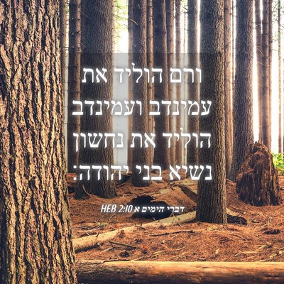 Picture 04 - דברי הימים א 2:10 HEB - ורם הוליד את עמינדב - Bible Verse Picture