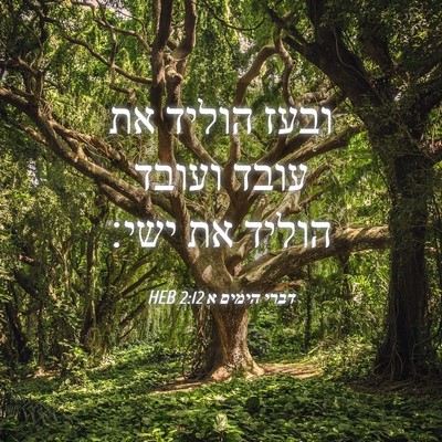 Picture 04 - דברי הימים א 2:12 HEB - ובעז הוליד את עובד ועובד - Bible Verse Picture