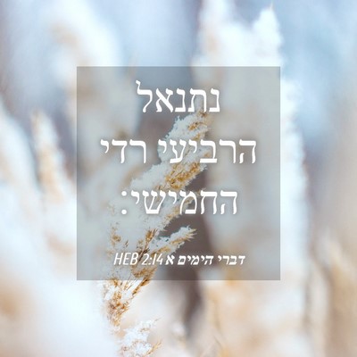 Picture 04 - דברי הימים א 2:14 HEB - נתנאל הרביעי רדי - Bible Verse Picture