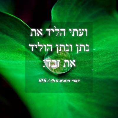 Picture 04 - דברי הימים א 2:36 HEB - ועתי הליד את נתן ונתן הוליד - Bible Verse Picture