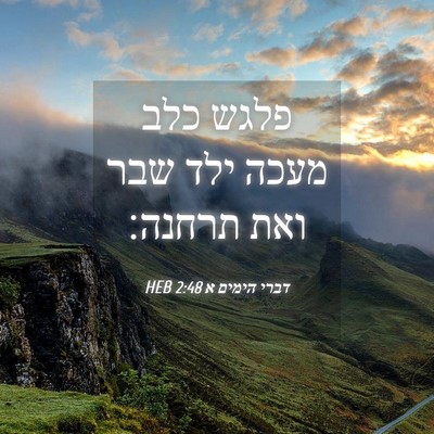 Picture 04 - דברי הימים א 2:48 HEB - פלגש כלב מעכה ילד שבר ואת - Bible Verse Picture