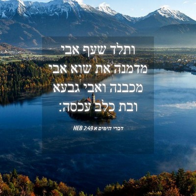 Picture 04 - דברי הימים א 2:49 HEB - ותלד שעף אבי מדמנה את שוא - Bible Verse Picture