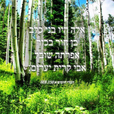 Picture 04 - דברי הימים א 2:50 HEB - אלה היו בני כלב בן חור בכור - Bible Verse Picture