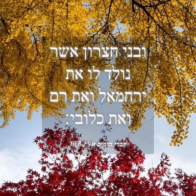 Picture 04 - דברי הימים א 2:9 HEB - ובני חצרון אשר נולד לו את - Bible Verse Picture