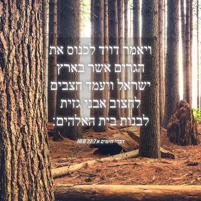 Picture 04 - דברי הימים א 22:2 HEB - ויאמר דויד לכנוס את הגרים - Bible Verse Picture