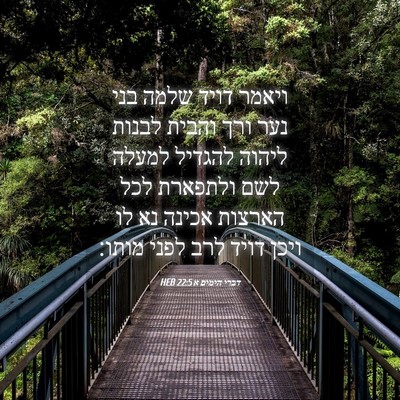 Picture 04 - דברי הימים א 22:5 HEB - ויאמר דויד שלמה בני נער ורך - Bible Verse Picture