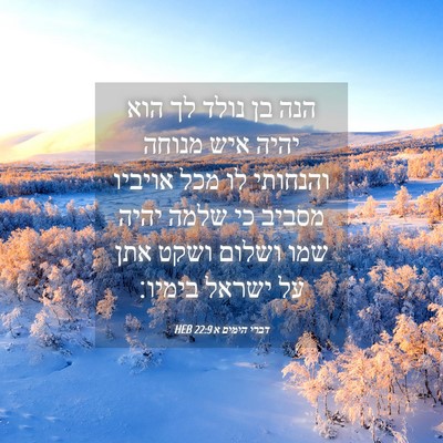 Picture 04 - דברי הימים א 22:9 HEB - הנה בן נולד לך הוא יהיה איש - Bible Verse Picture