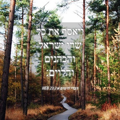 Picture 04 - דברי הימים א 23:2 HEB - ויאסף את כל שרי ישראל - Bible Verse Picture