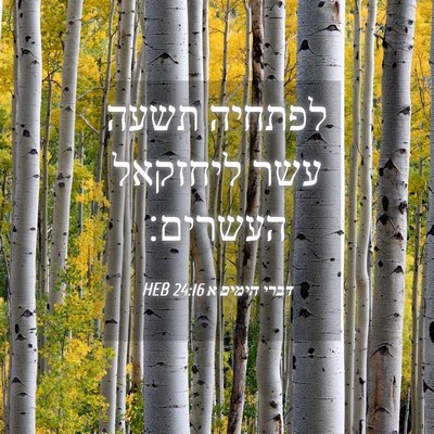 Picture 04 - דברי הימים א 24:16 HEB - לפתחיה תשעה עשר ליחזקאל - Bible Verse Picture