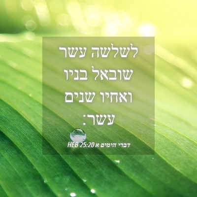 Picture 04 - דברי הימים א 25:20 HEB - לשלשה עשר שובאל בניו ואחיו - Bible Verse Picture