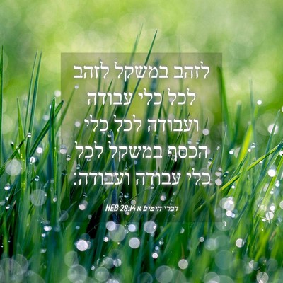 Picture 04 - דברי הימים א 28:14 HEB - לזהב במשקל לזהב לכל כלי - Bible Verse Picture