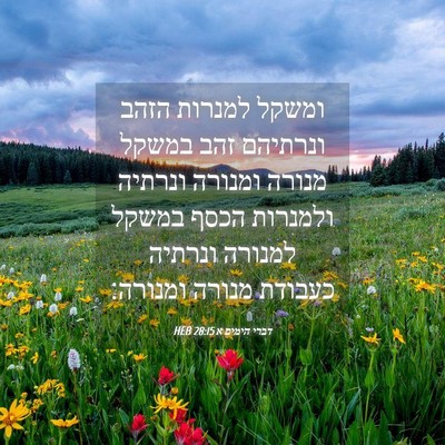 Picture 04 - דברי הימים א 28:15 HEB - ומשקל למנרות הזהב ונרתיהם - Bible Verse Picture